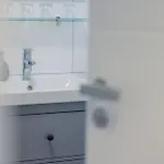 Koi Mit Teichblick