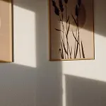 Koi Mit Teichblick *