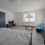 Koi Mit Teichblick