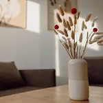 Koi Mit Teichblick 诺德豪森
