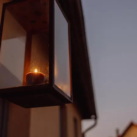 Koi Mit Teichblick *