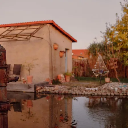 Koi Mit Teichblick דירה נורדהאוזן