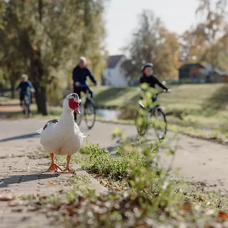 Koi Mit Teichblick Appartamento