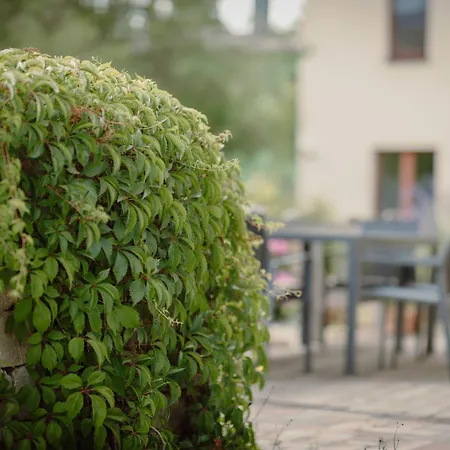 Koi Mit Teichblick נורדהאוזן