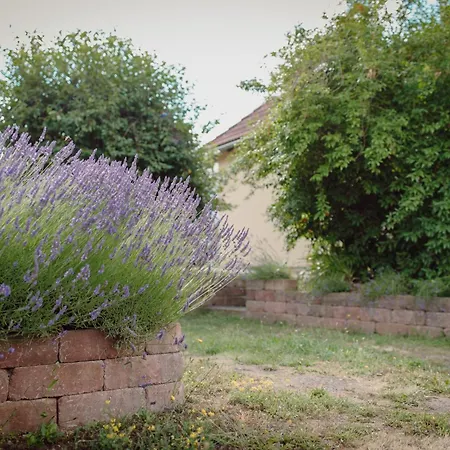 Appartamento Koi Mit Teichblick Nordhausen