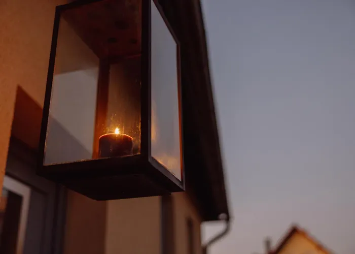 Koi Mit Teichblick *