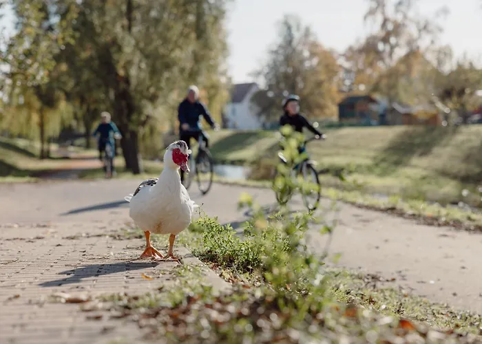 Koi Mit Teichblick דירה
