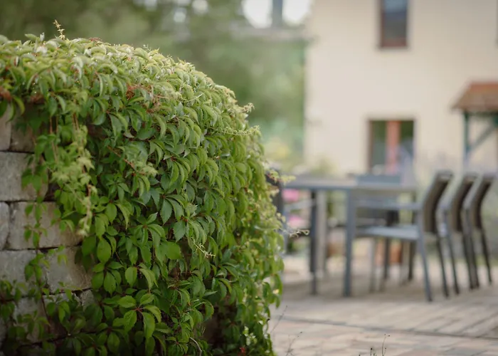 Koi Mit Teichblick נורדהאוזן