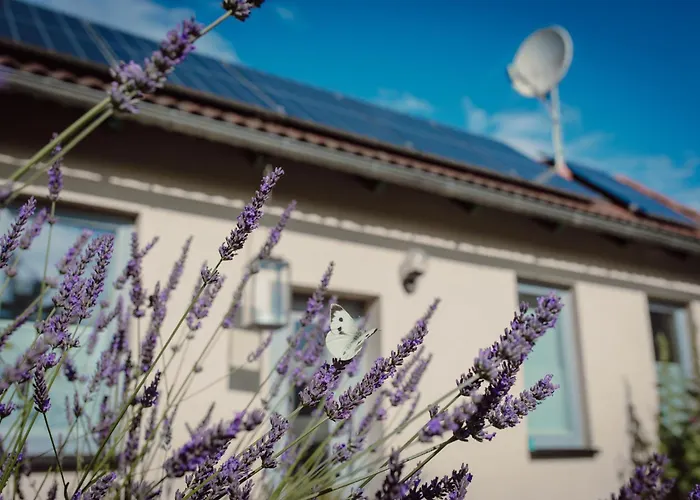 Koi Mit Teichblick Apartman Nordhausen