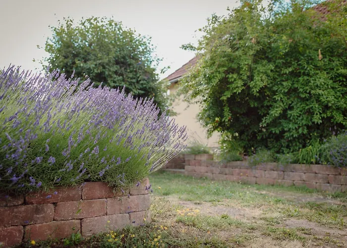 דירה Koi Mit Teichblick נורדהאוזן